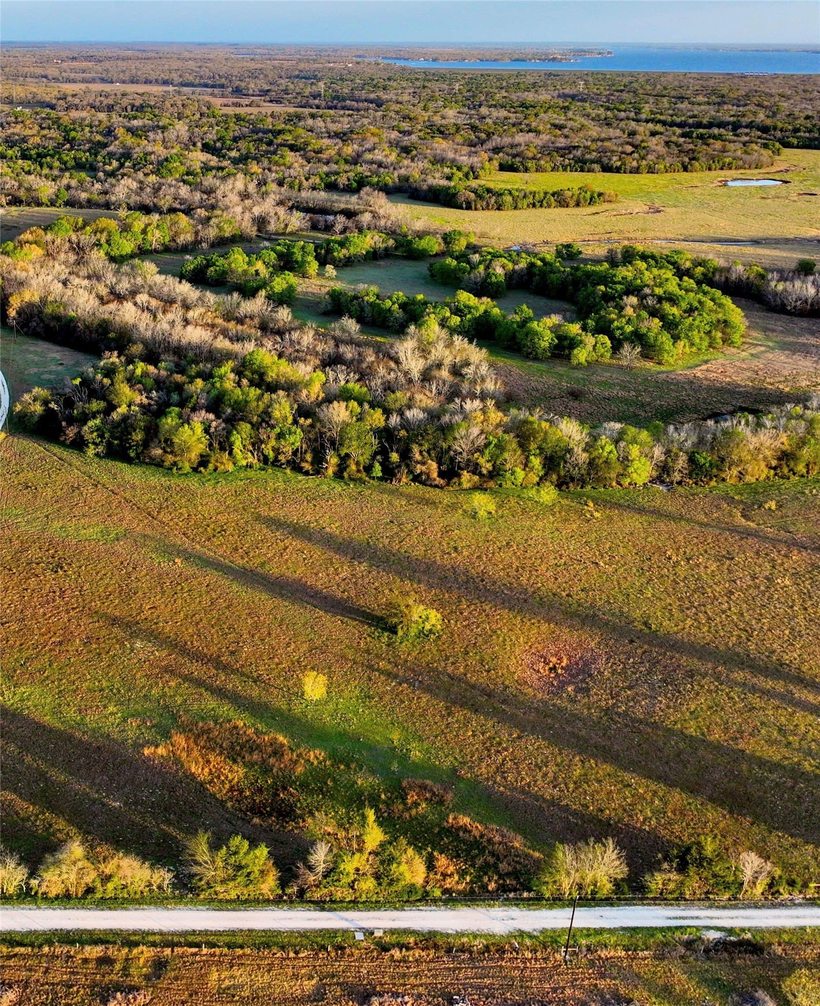 10 acres in Leon County - photo 8