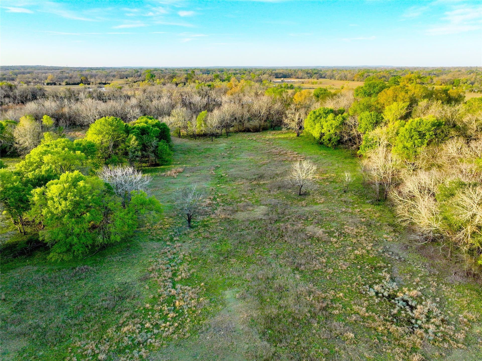 10 acres in Leon County - photo 10