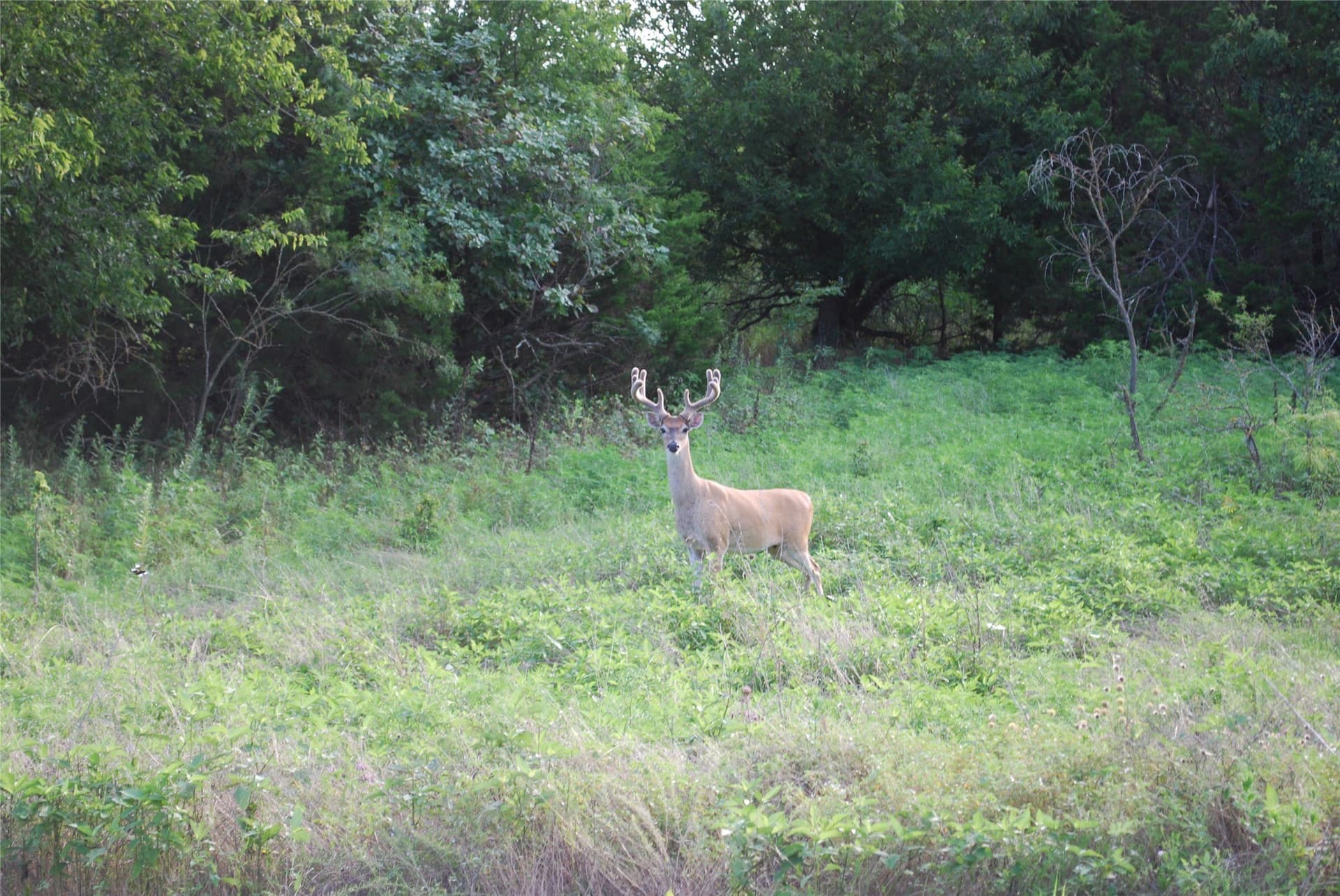 0.14 acres in Hill County - photo 12