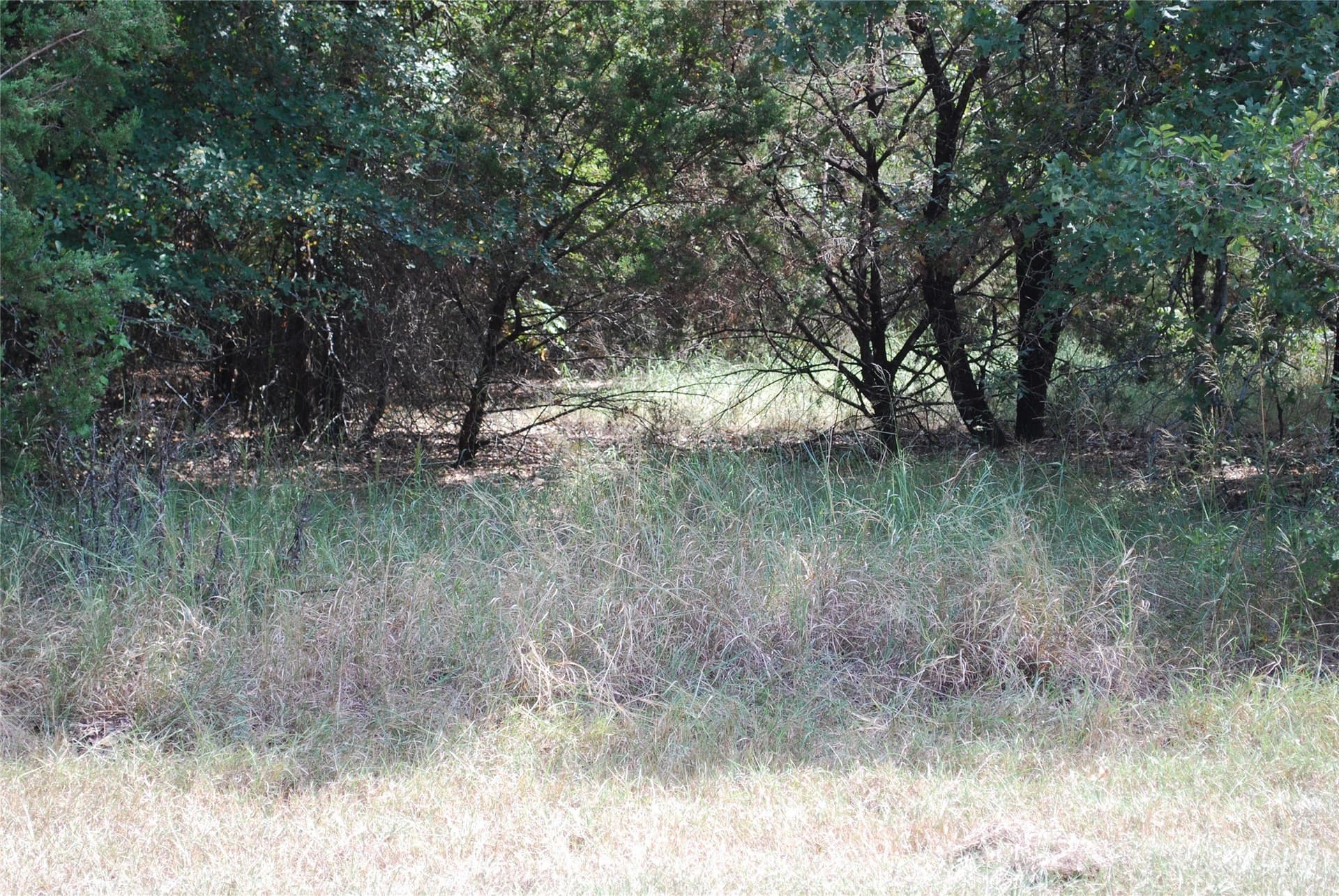 0.14 acres in Hill County gallery image 2