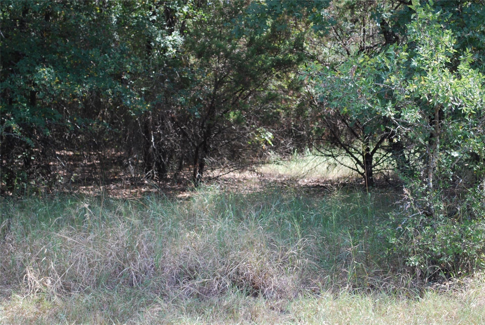 0.14 acres in Hill County gallery image 3