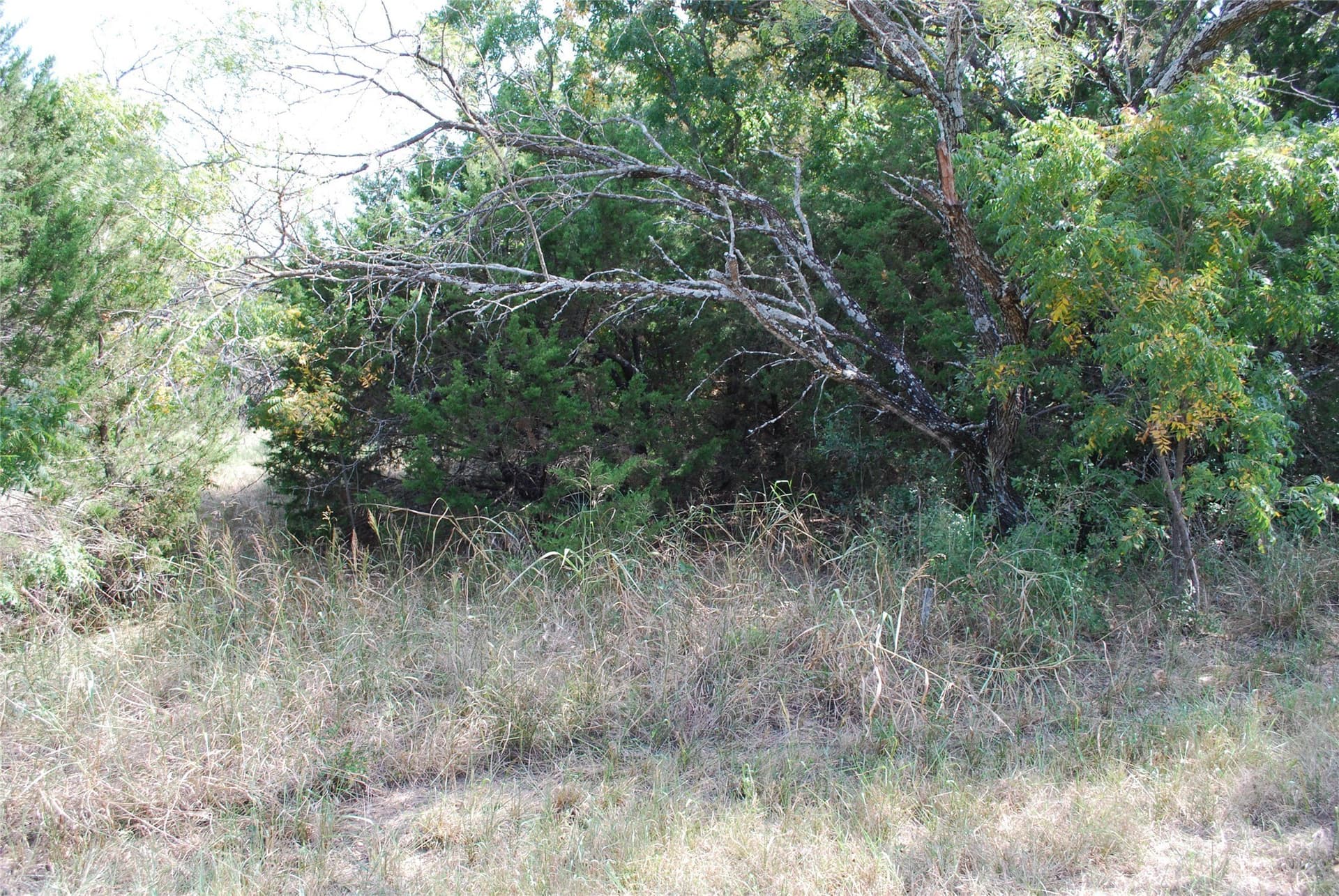 0.14 acres in Hill County featured view
