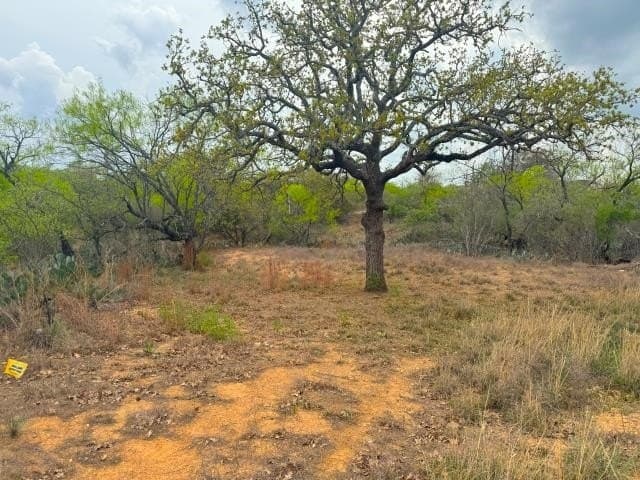 0.11 acres in Burnet County gallery image 2