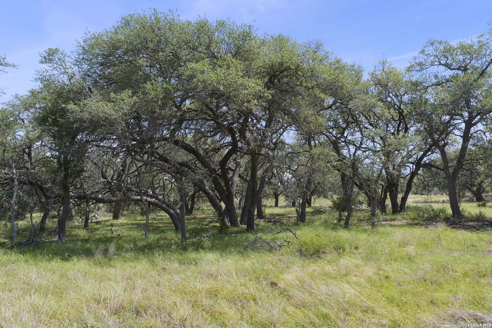 1.07 acres in Comal County - photo 28