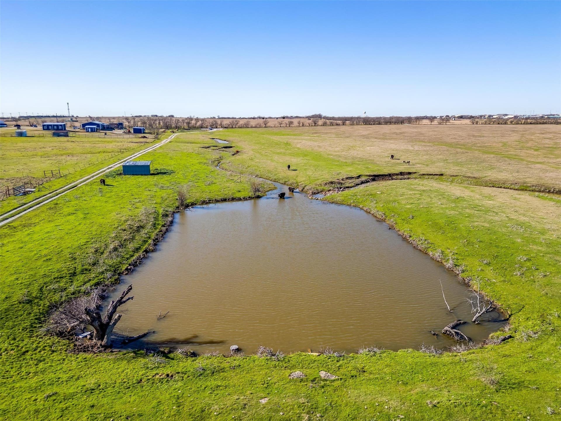 77.8 acres in Denton County - photo 10