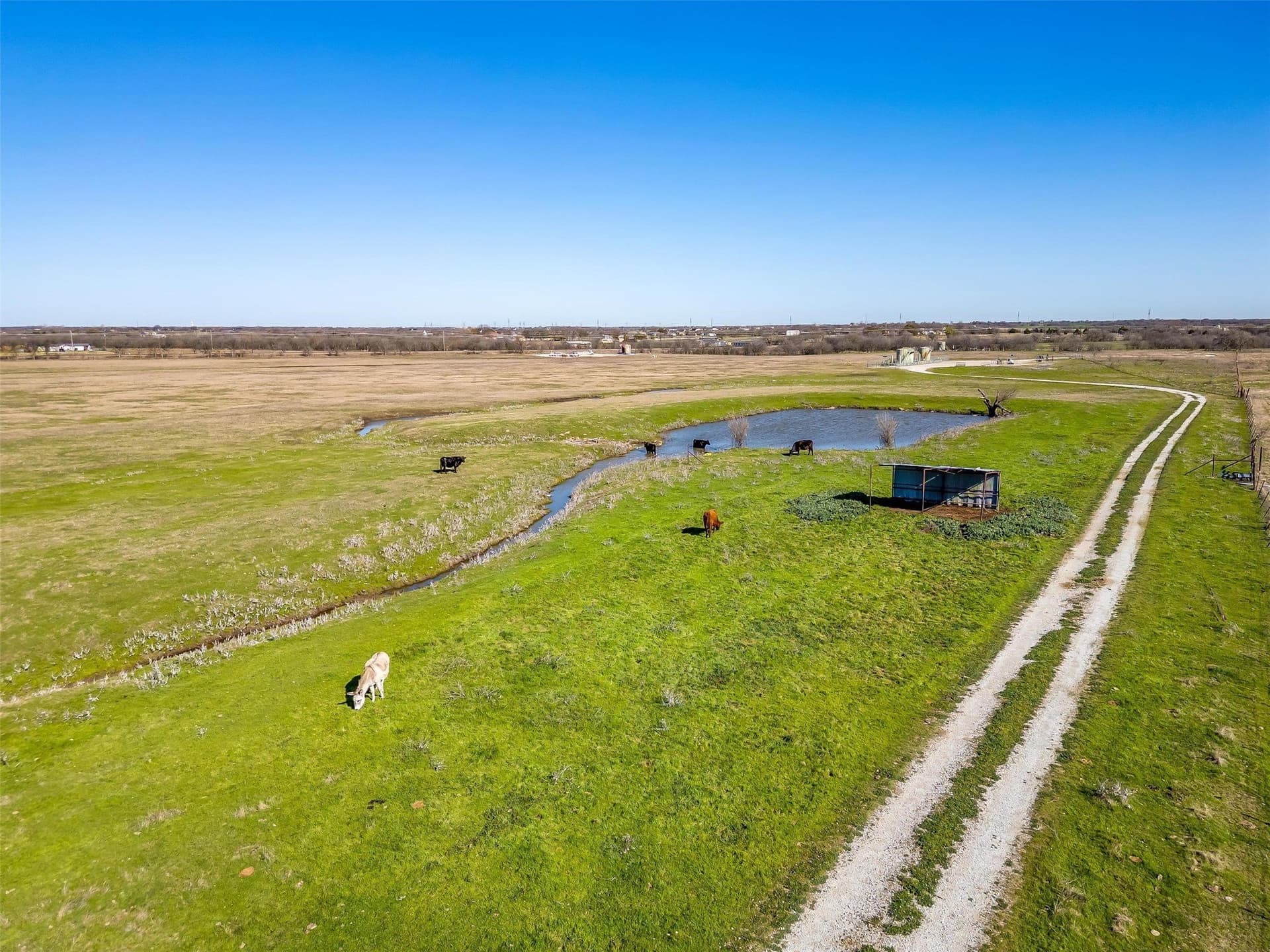 77.8 acres in Denton County - photo 15
