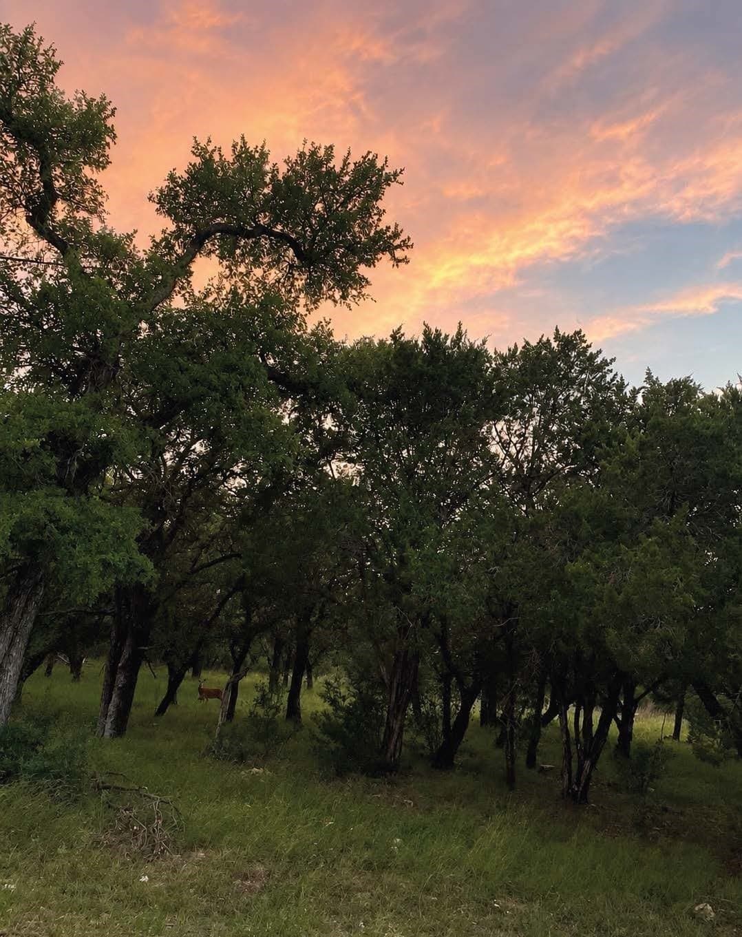 0.23 acres in Burnet County - photo 2