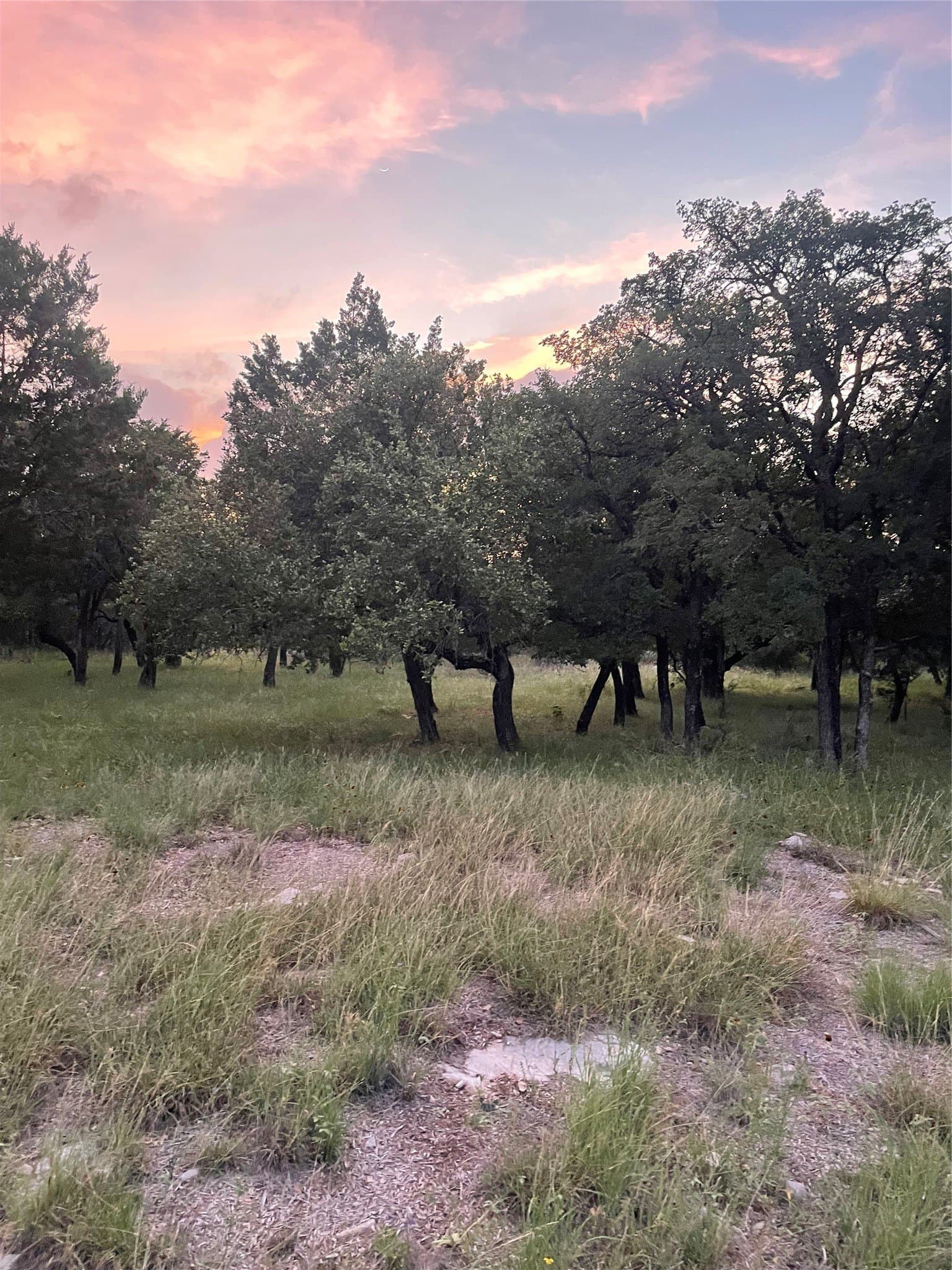 0.23 acres in Burnet County - photo 12