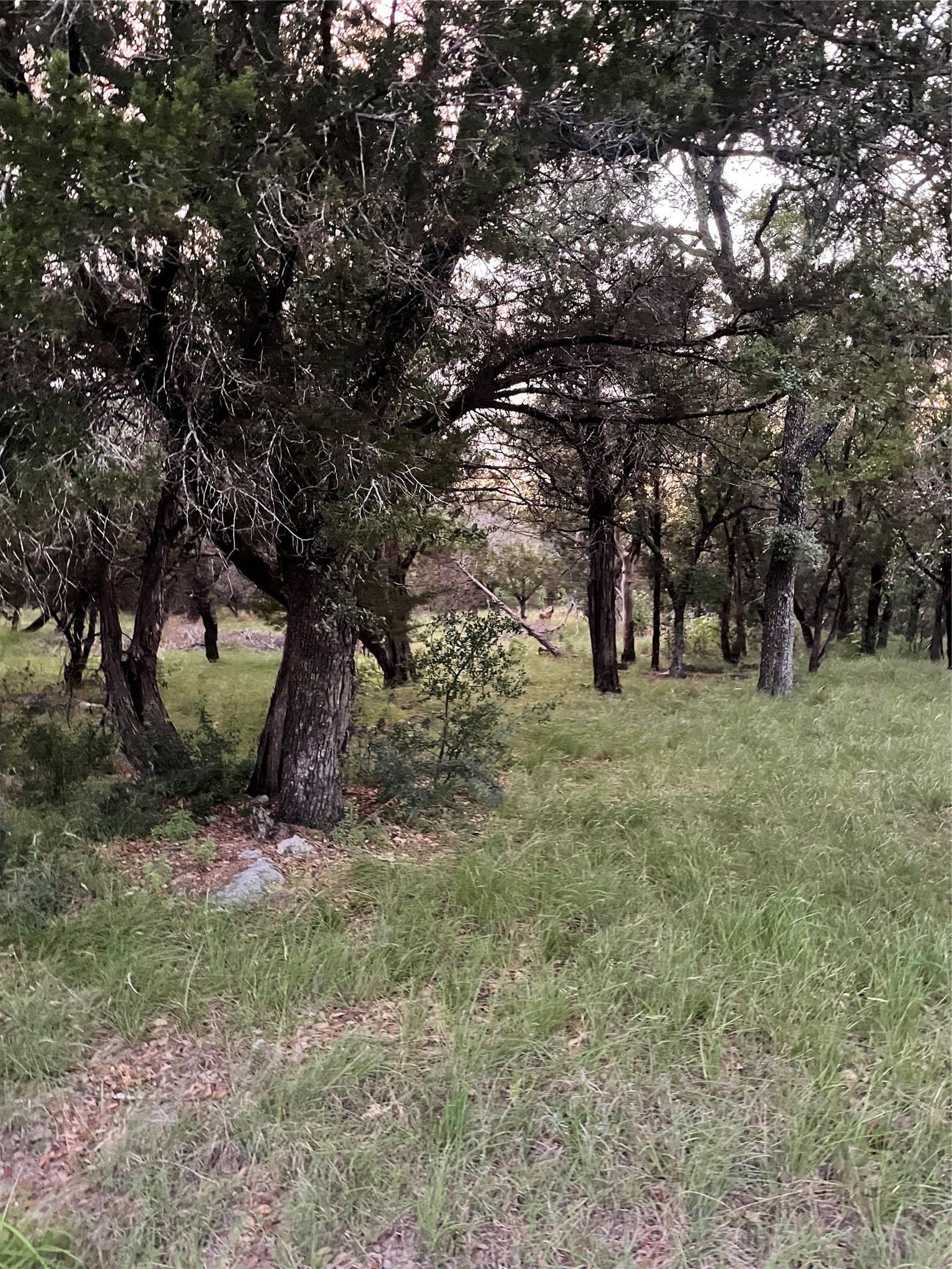 0.23 acres in Burnet County - photo 8