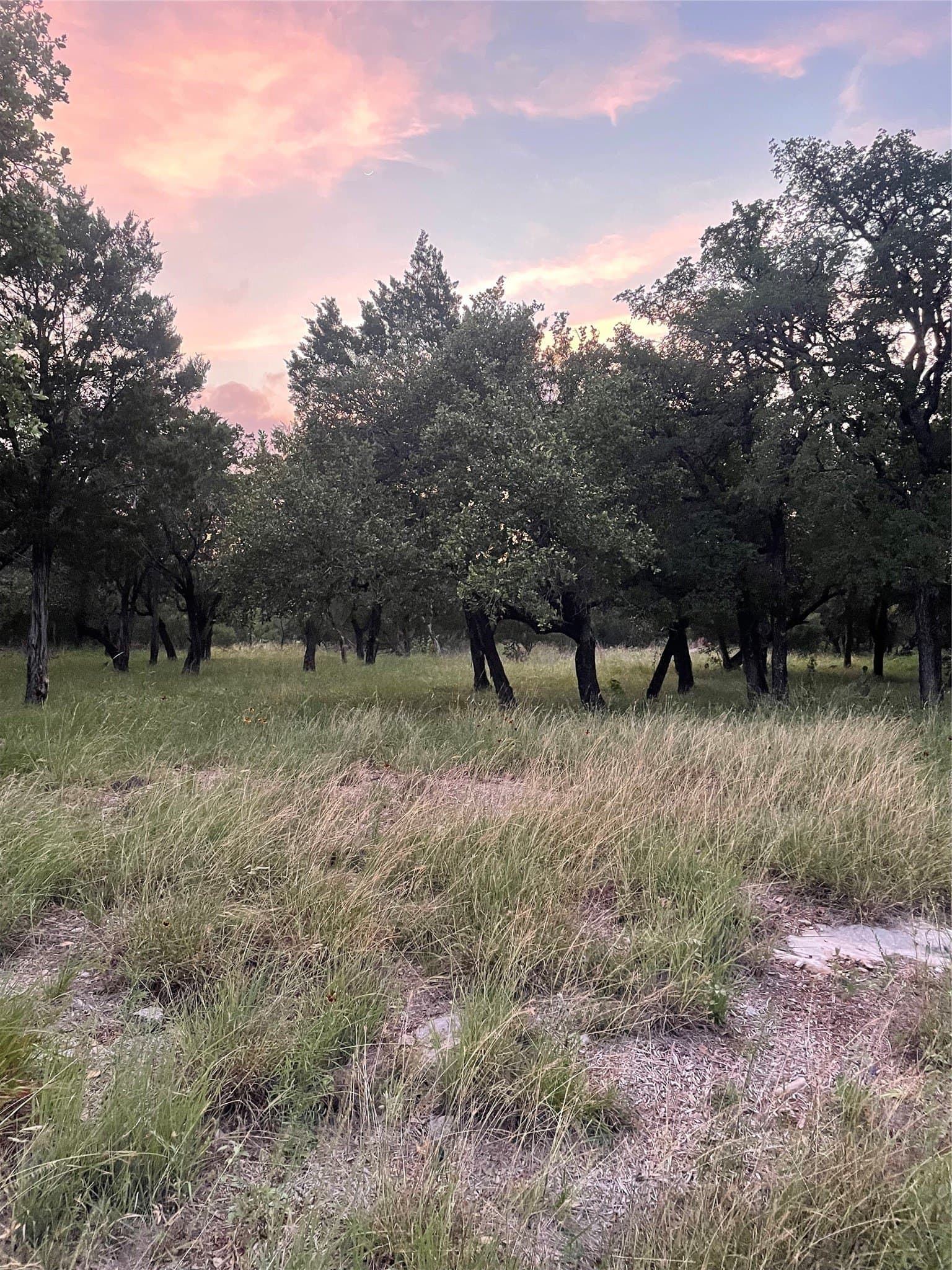 0.23 acres in Burnet County - photo 11