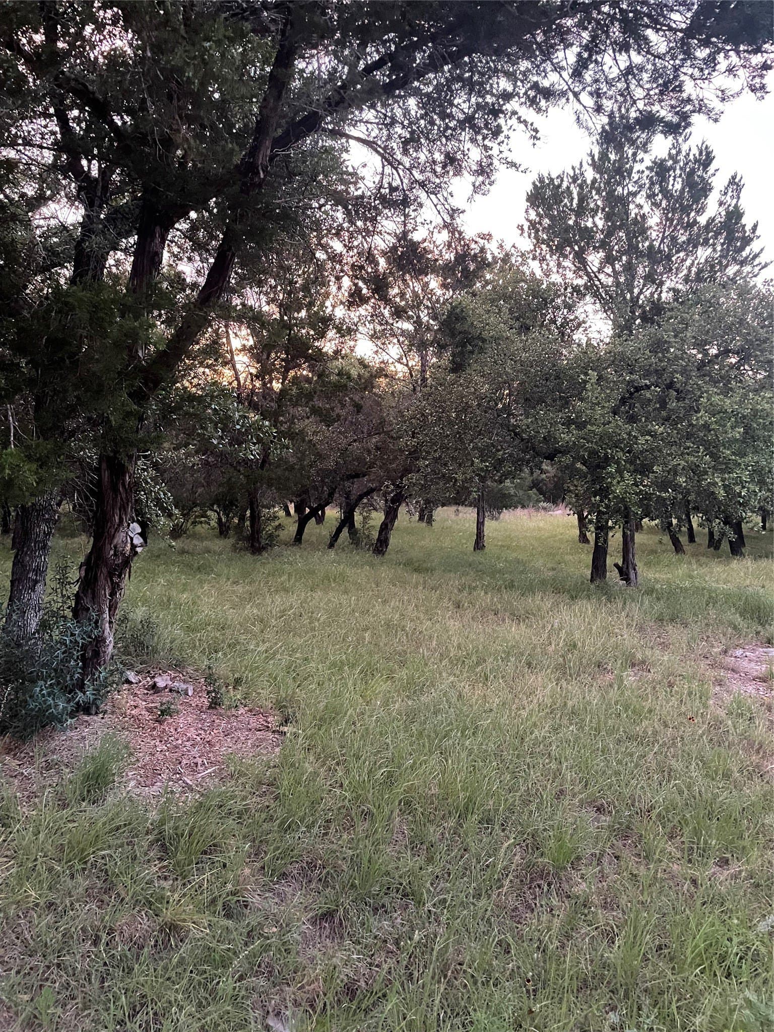 0.23 acres in Burnet County - photo 10