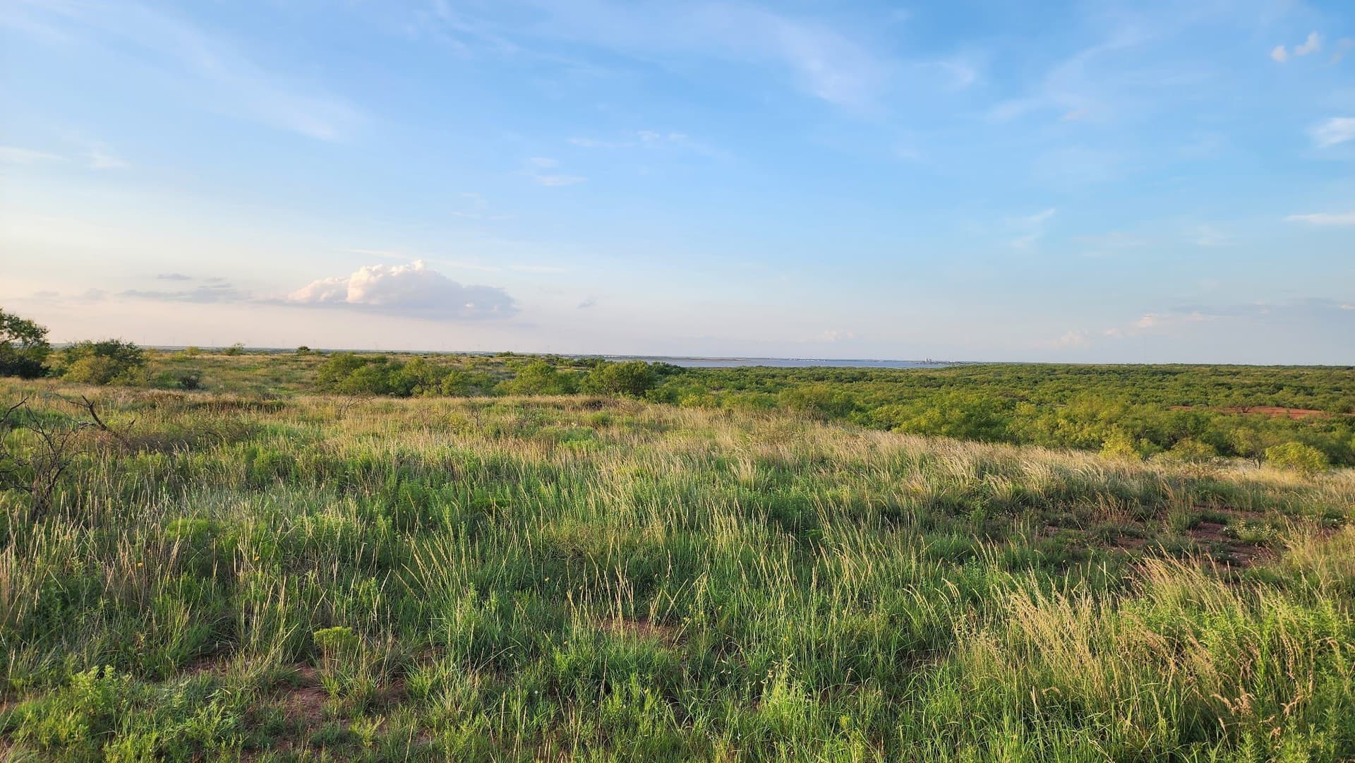 34.33 acres in Haskell County - photo 17