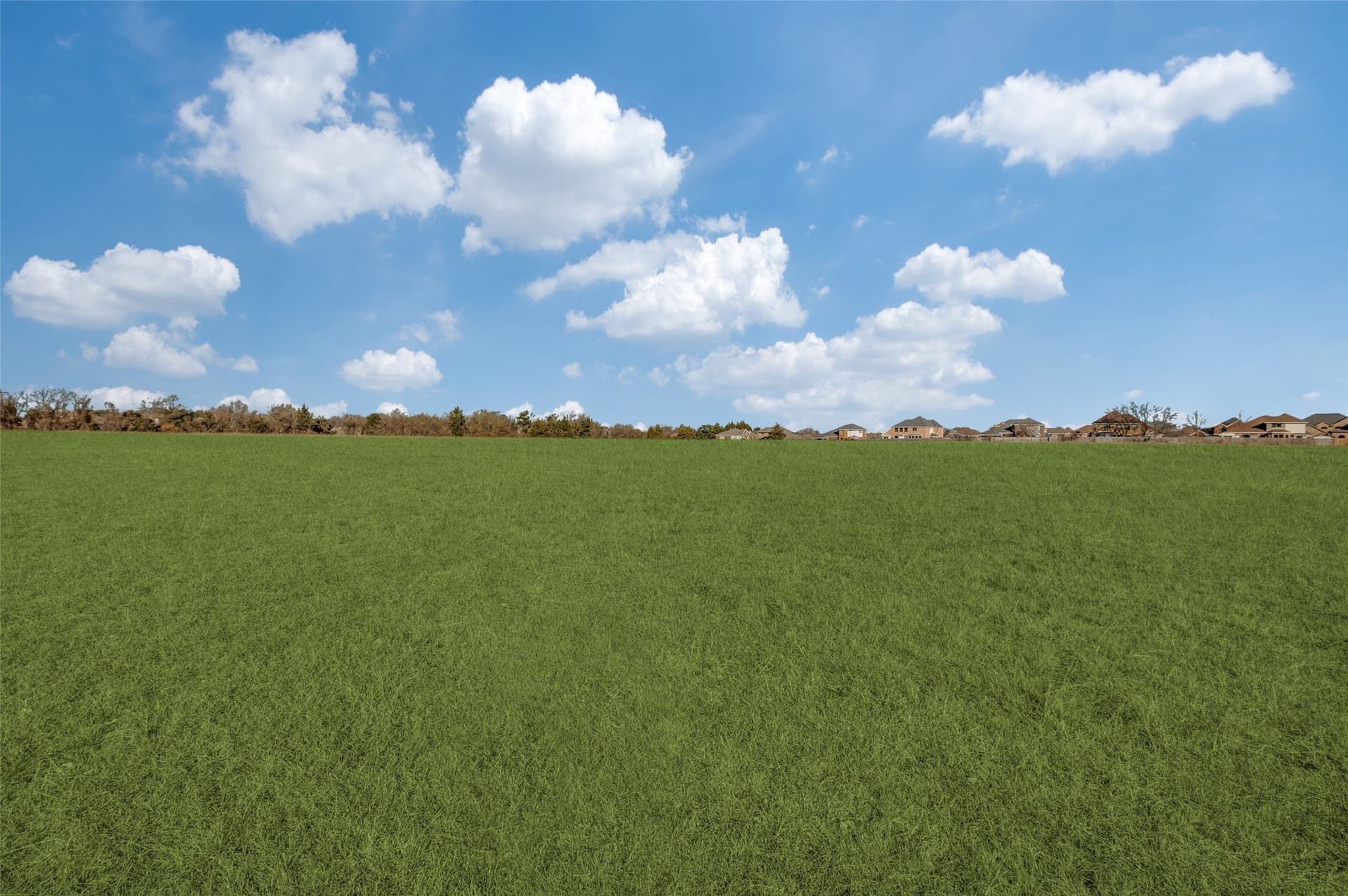 10 acres in Dallas County gallery image 2