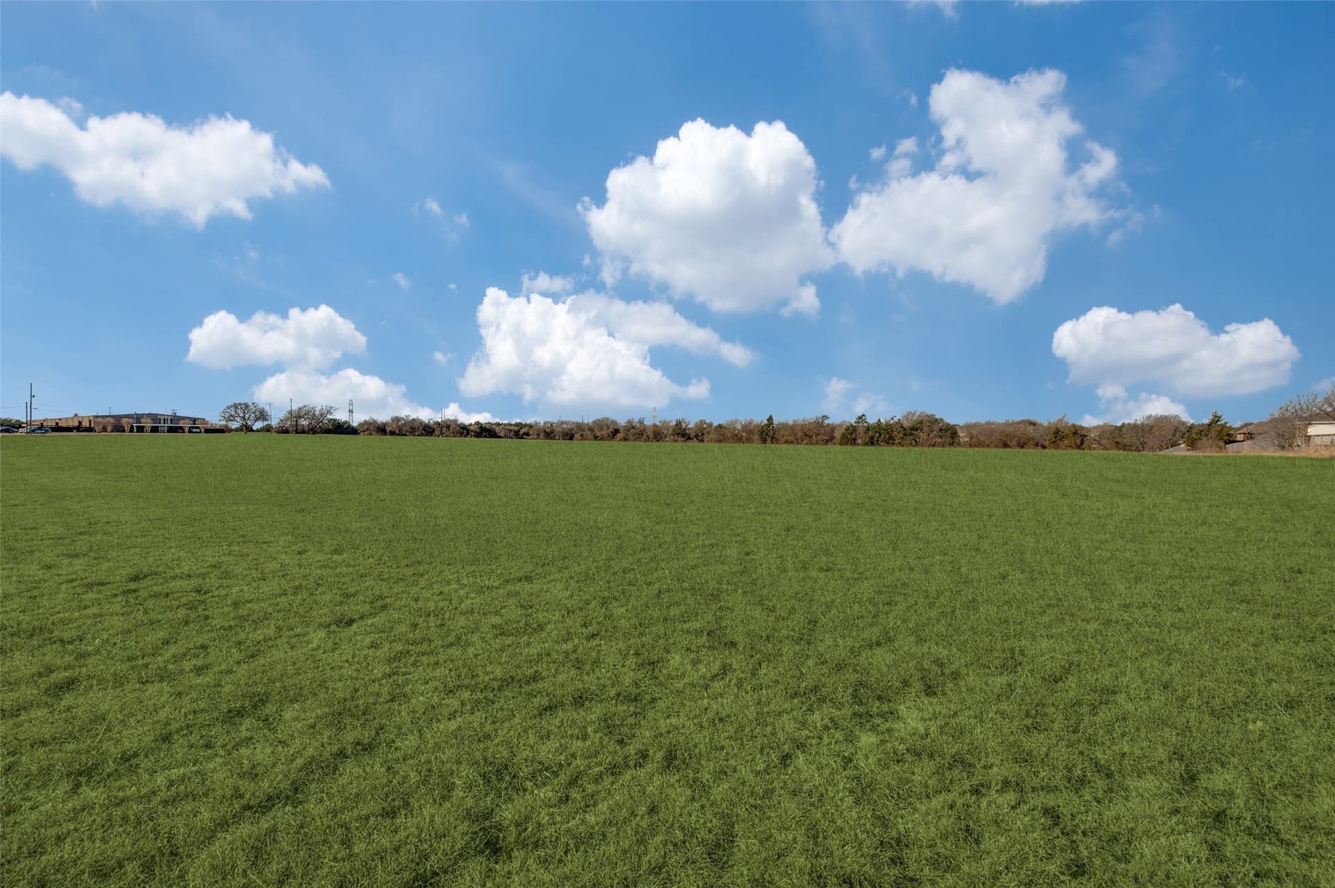 10 acres in Dallas County - photo 11