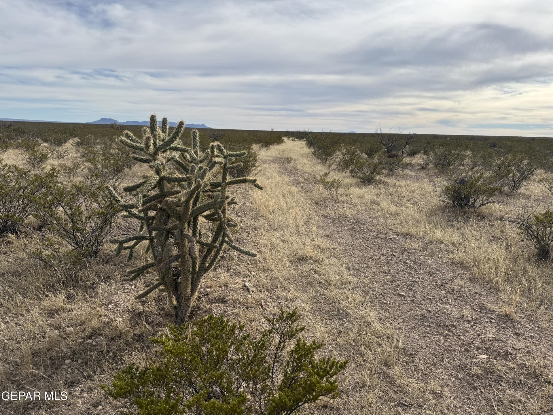 21.44 acres in Hudspeth County featured view