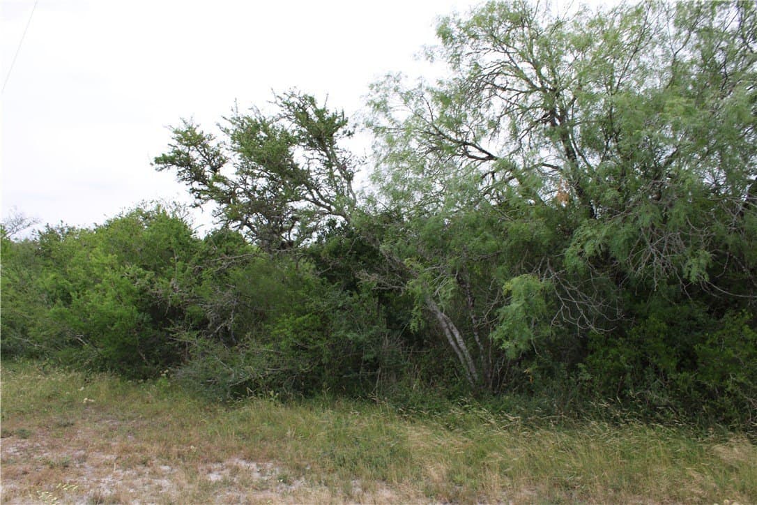 0.24 acres in Live Oak County