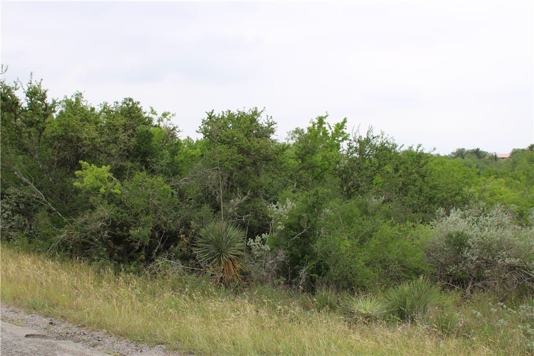 0.24 acres in Live Oak County gallery image 3