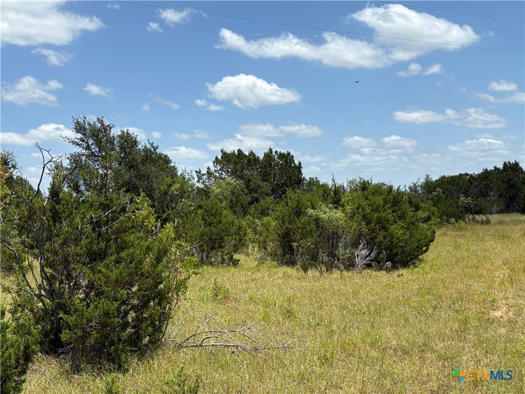 14.35 acres in Burnet County gallery image 3