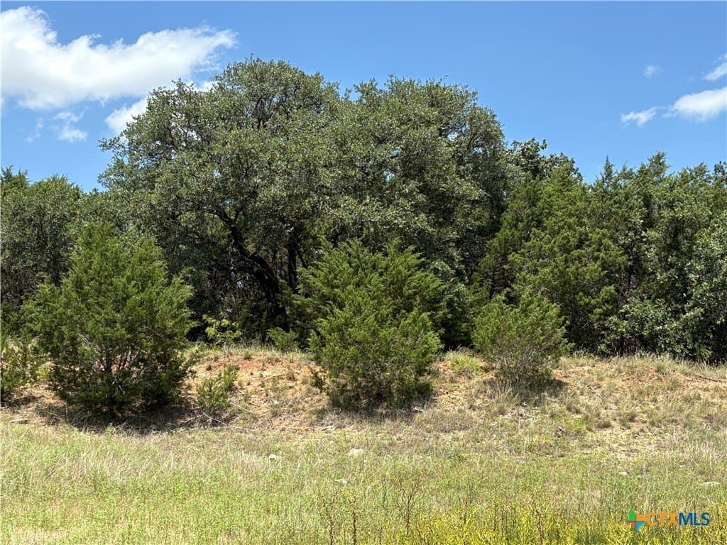 14.35 acres in Burnet County gallery image 2