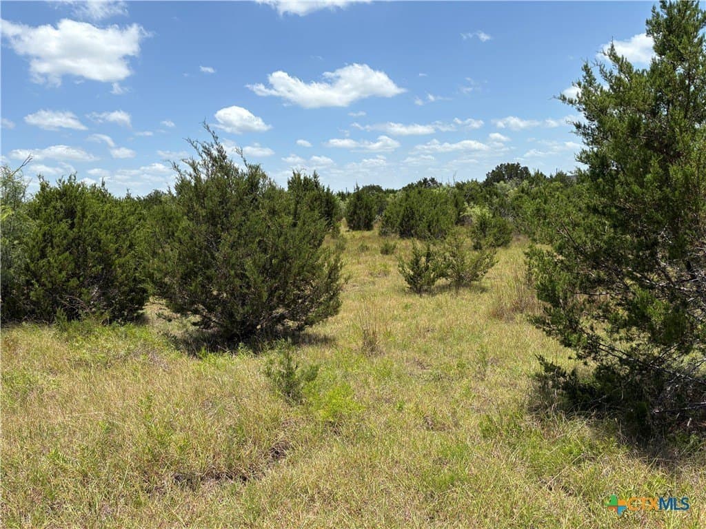 14.35 acres in Burnet County - photo 6