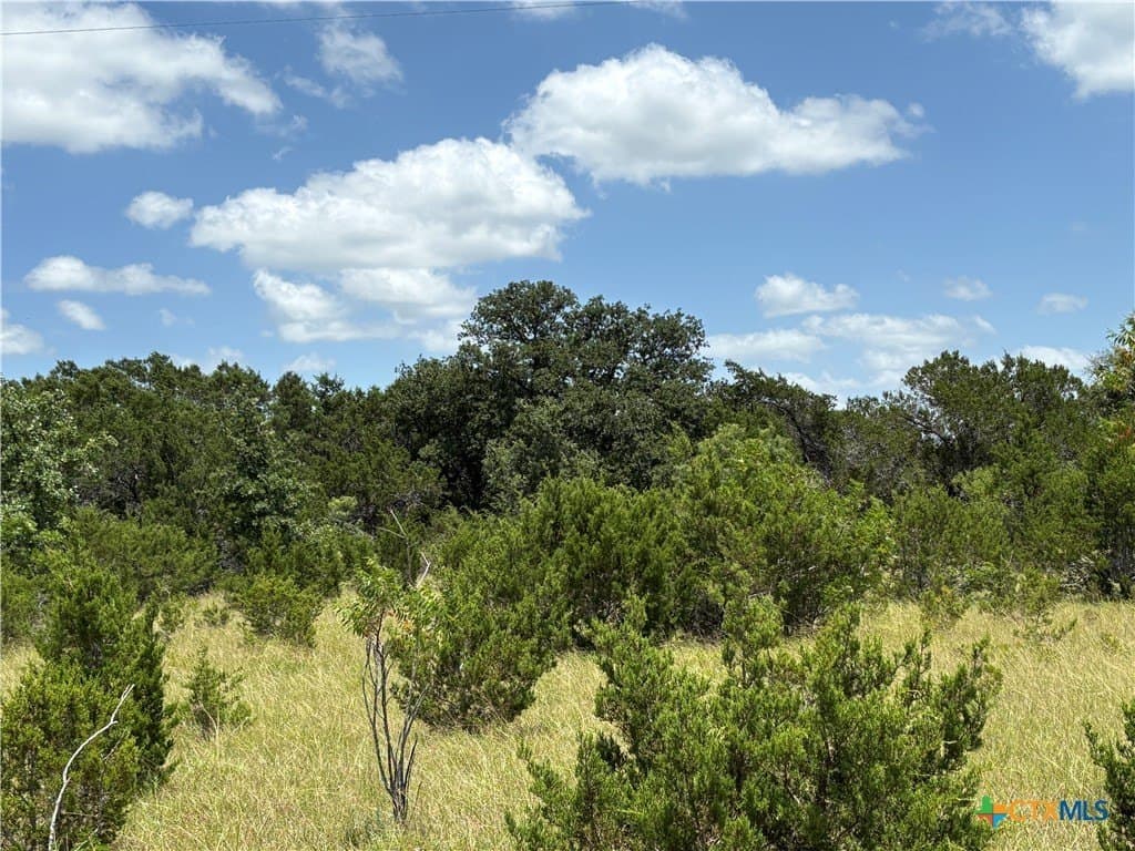 14.35 acres in Burnet County gallery image 4