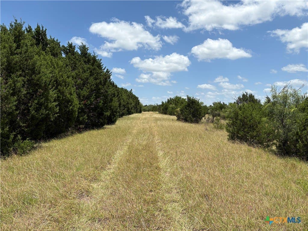14.35 acres in Burnet County featured view