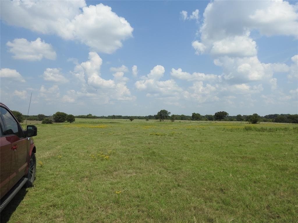 41.9 acres in Fannin County gallery image 4