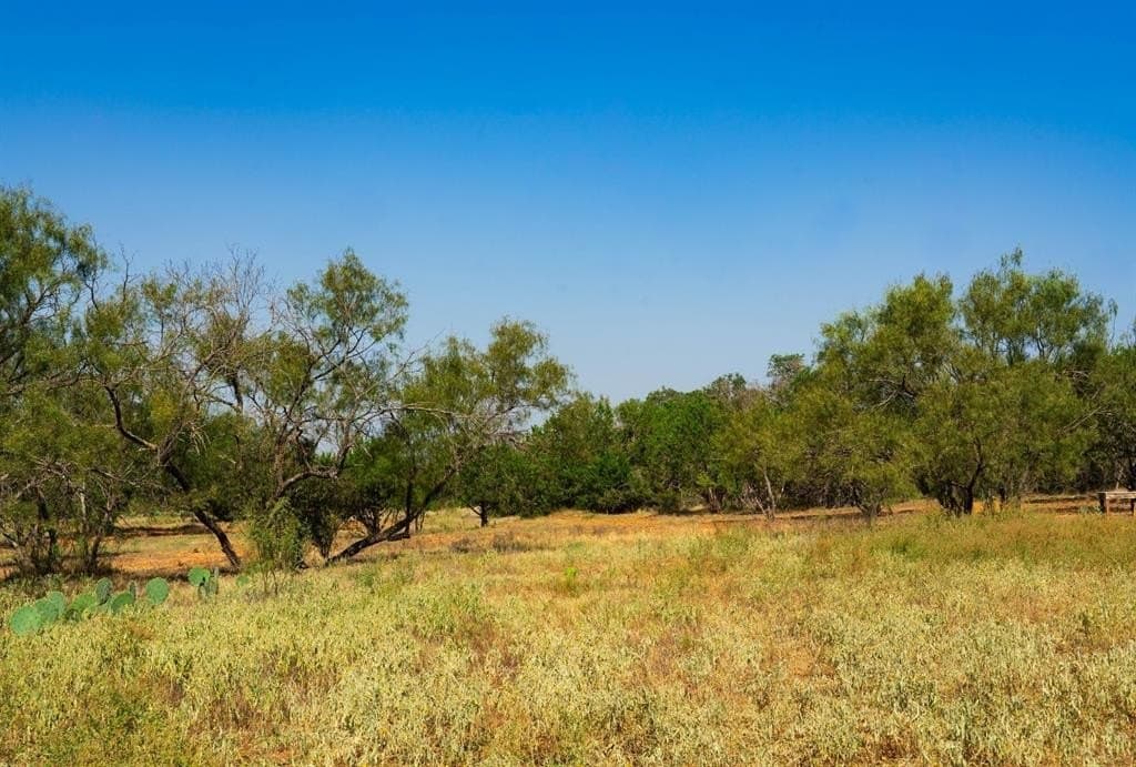 40 acres in Travis County featured view