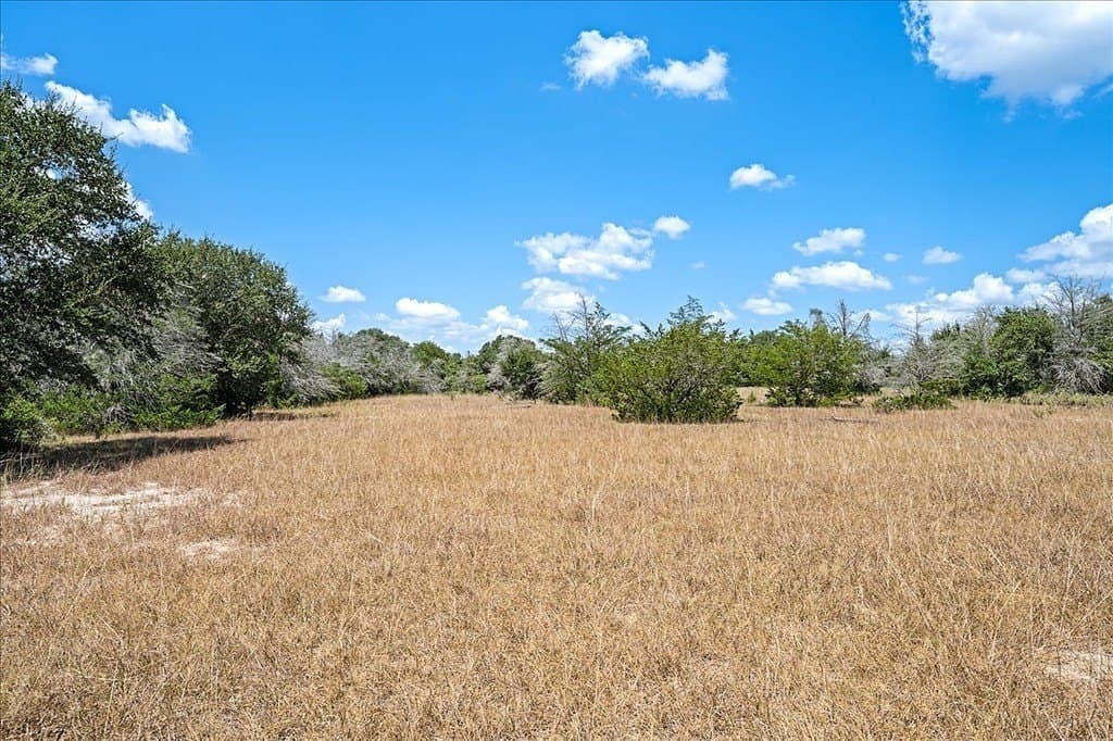 34.1 acres in Fayette County - photo 9