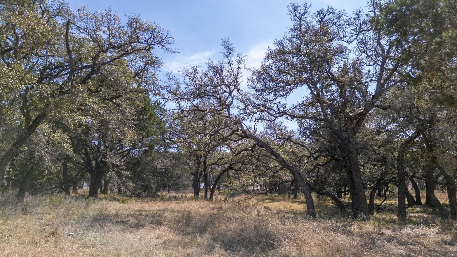 11 acres in Burnet County - photo 11