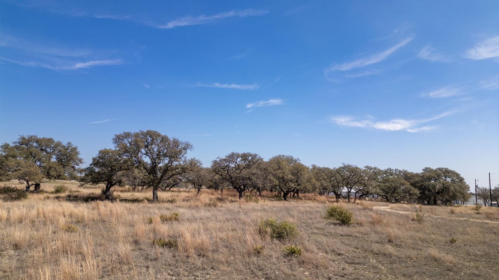 11 acres in Burnet County - photo 20