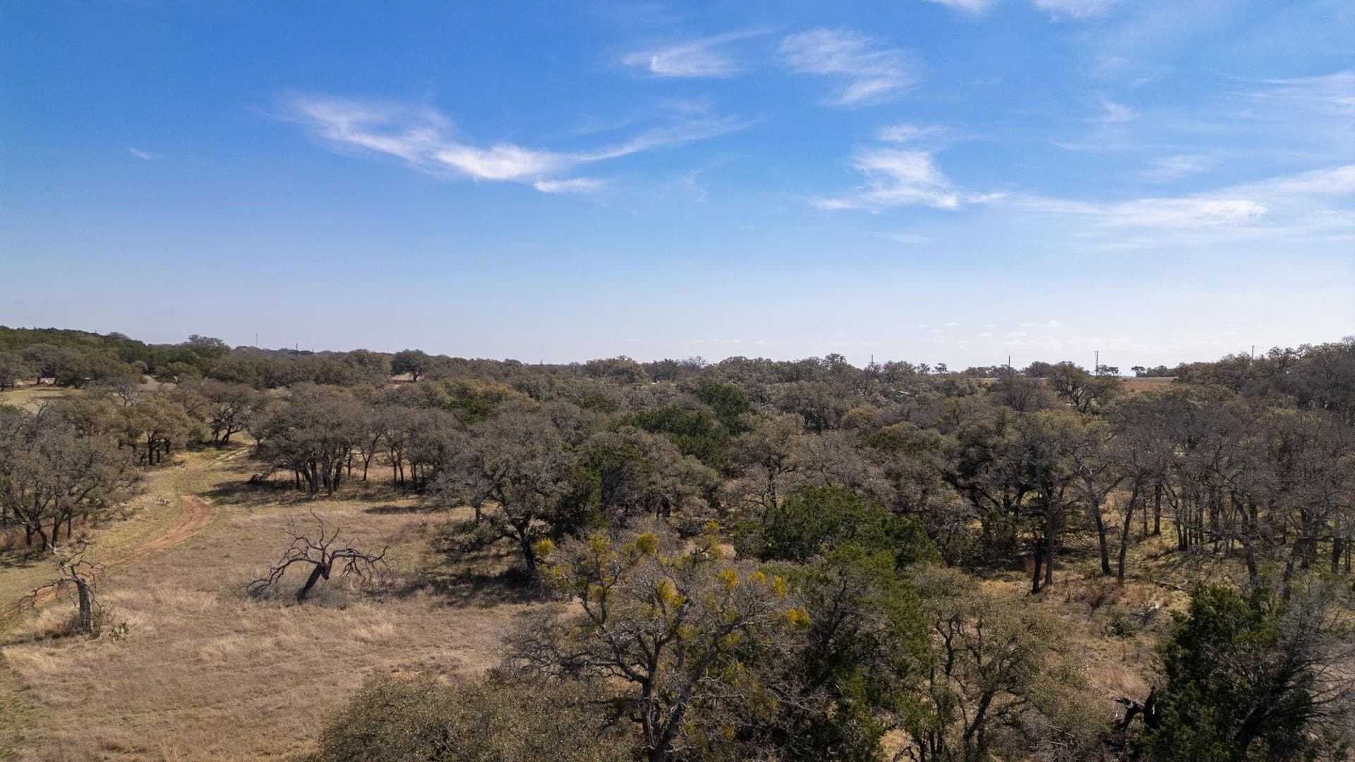11 acres in Burnet County - photo 21