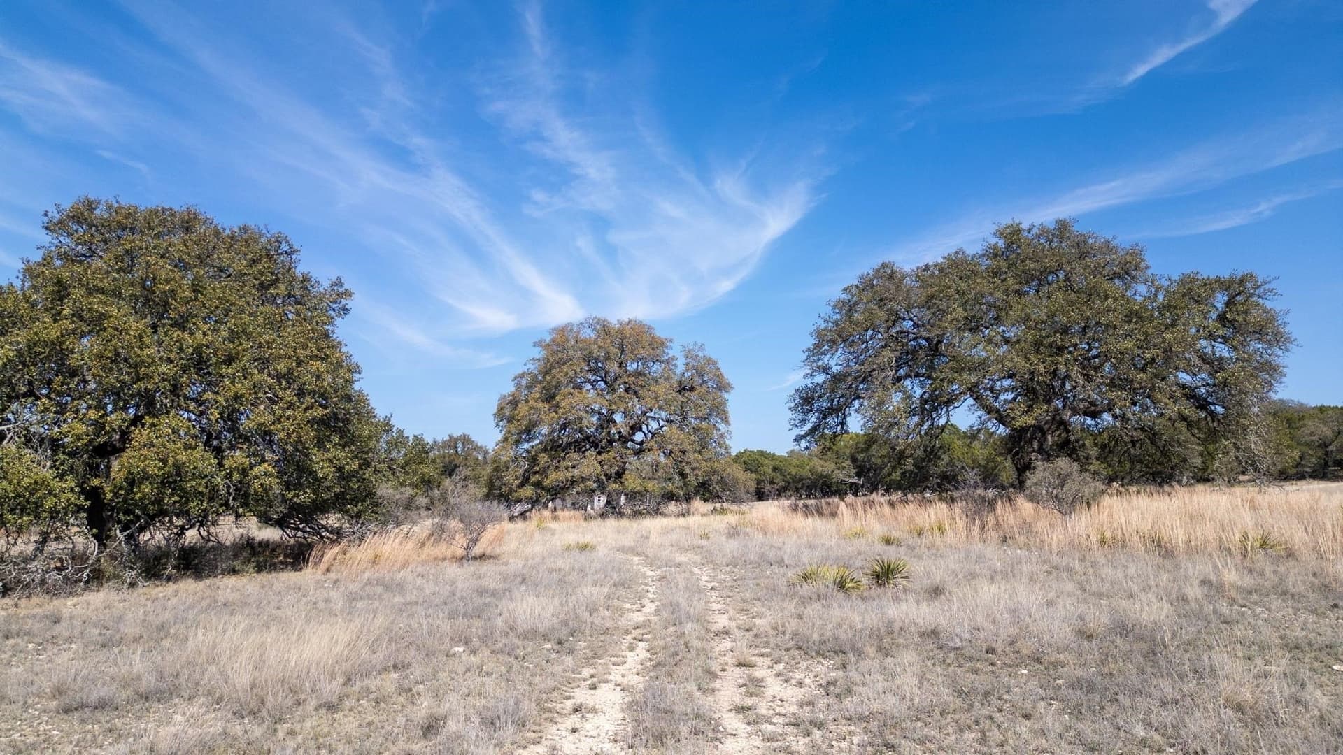 11 acres in Burnet County - photo 16