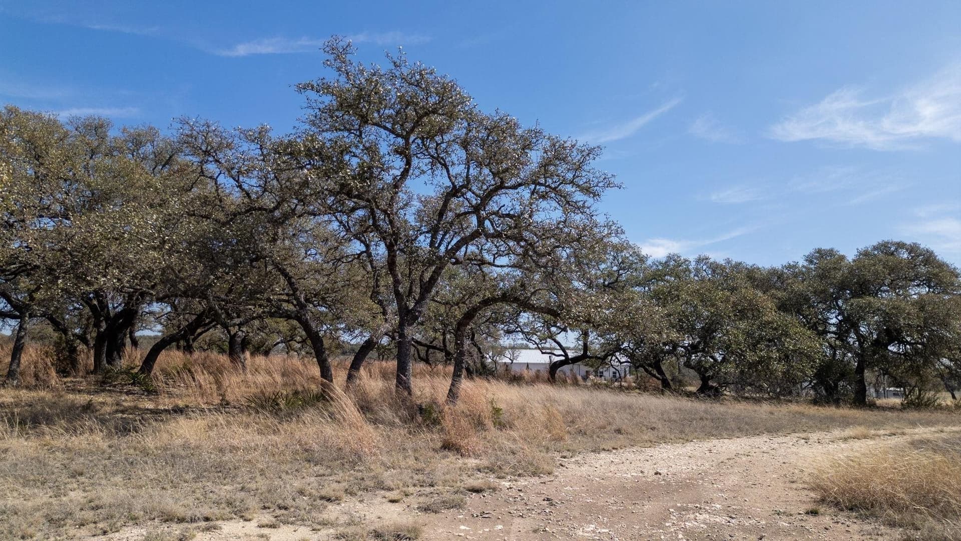 11 acres in Burnet County - photo 18