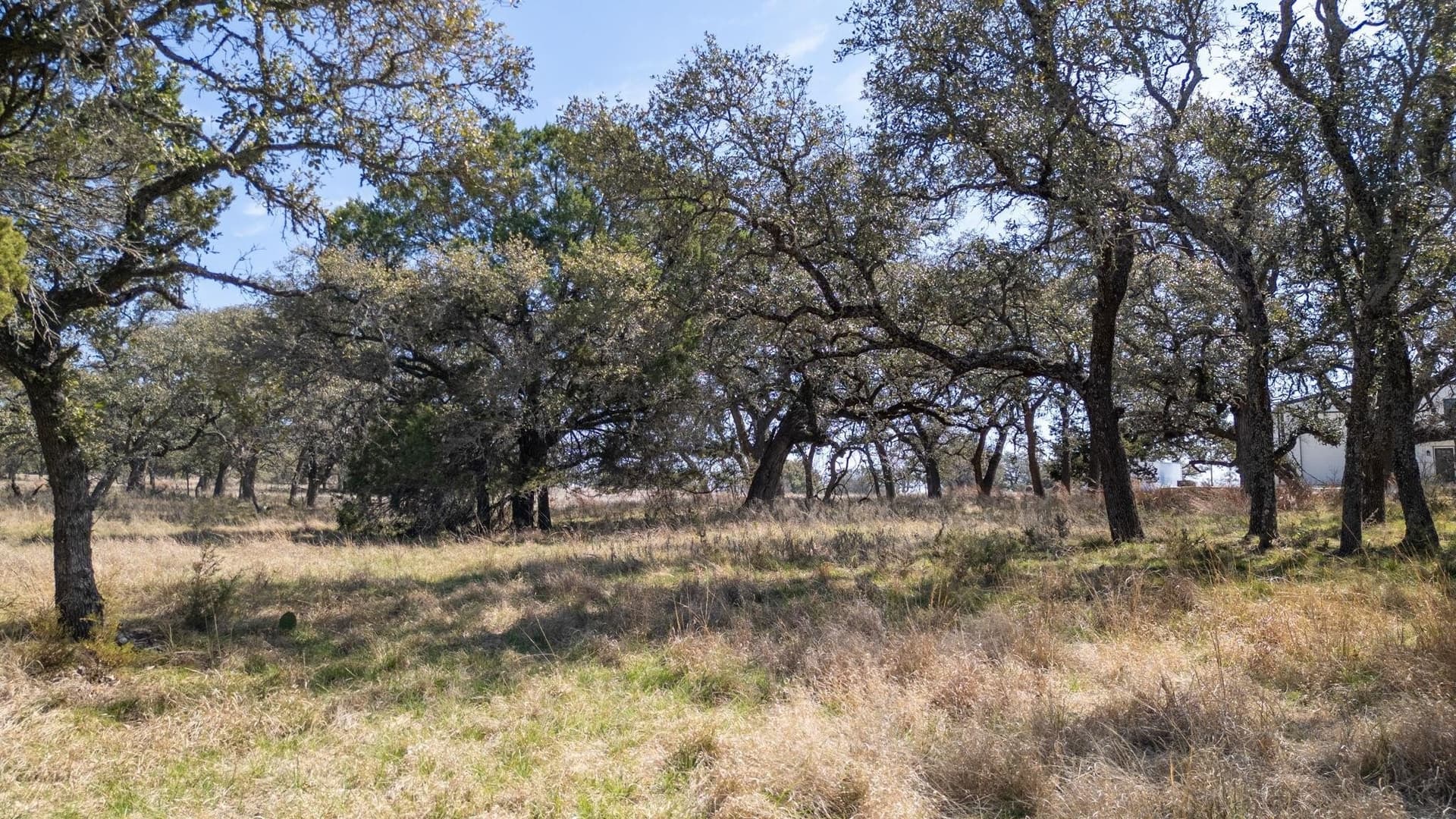 11 acres in Burnet County gallery image 4