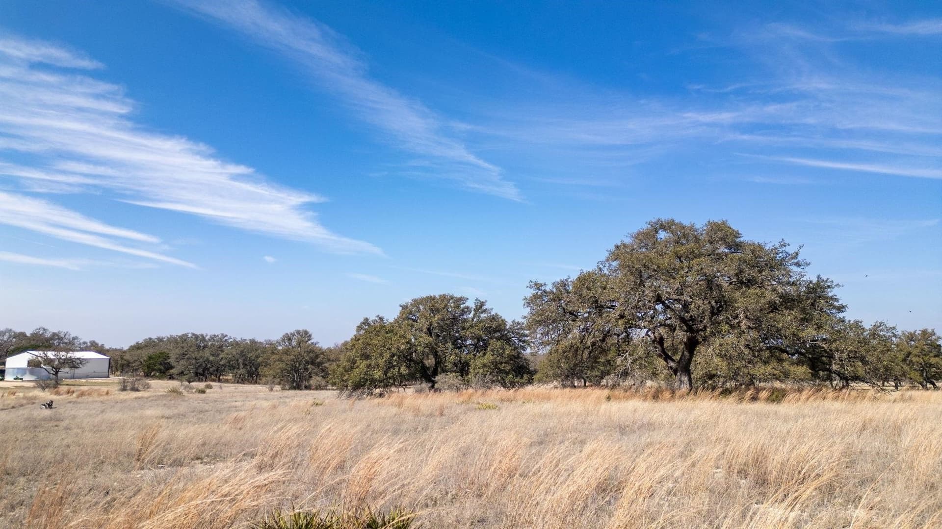 11 acres in Burnet County - photo 19