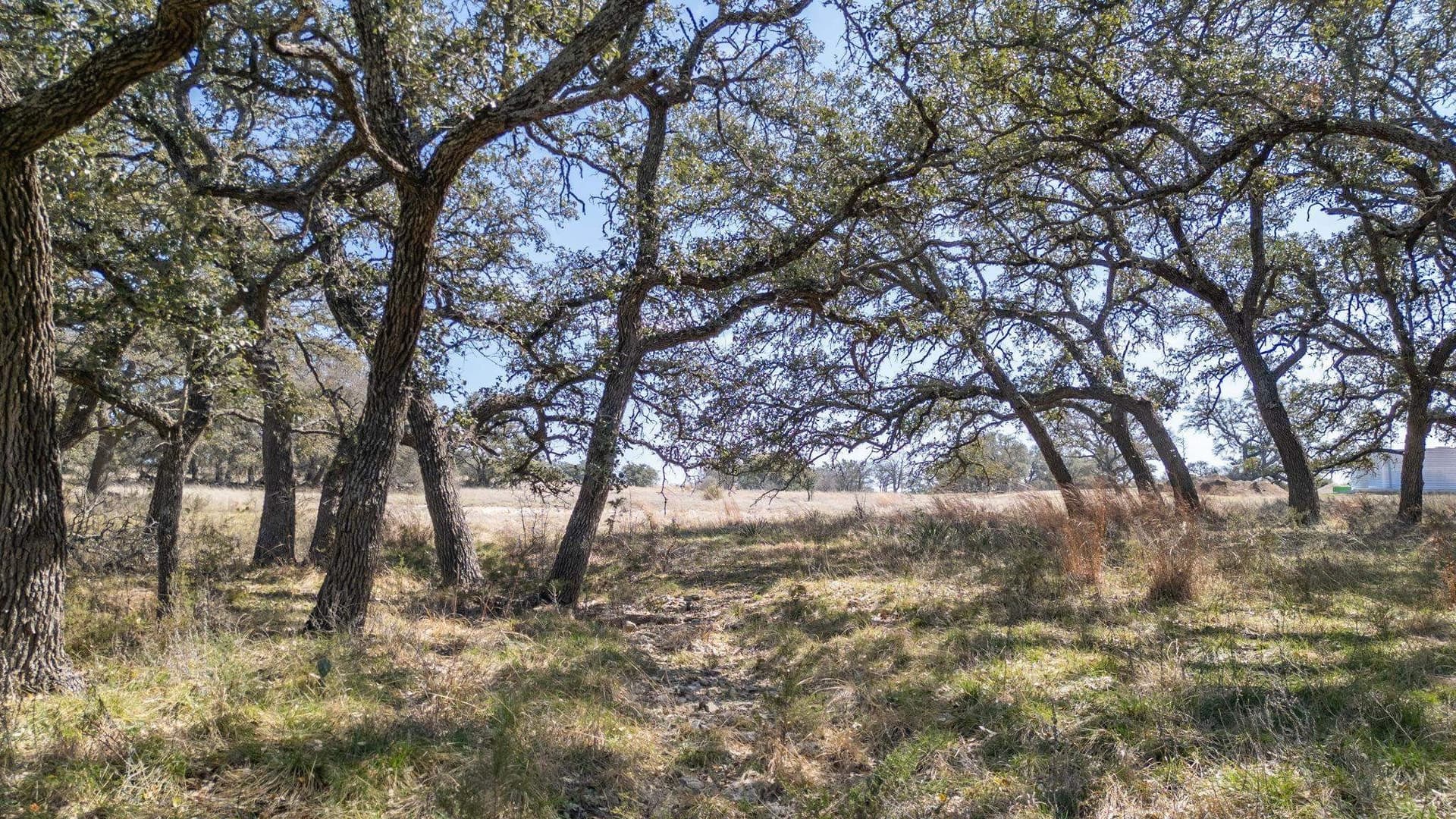 11 acres in Burnet County - photo 8