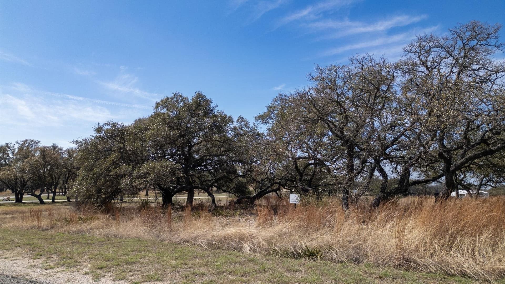 11 acres in Burnet County - photo 6