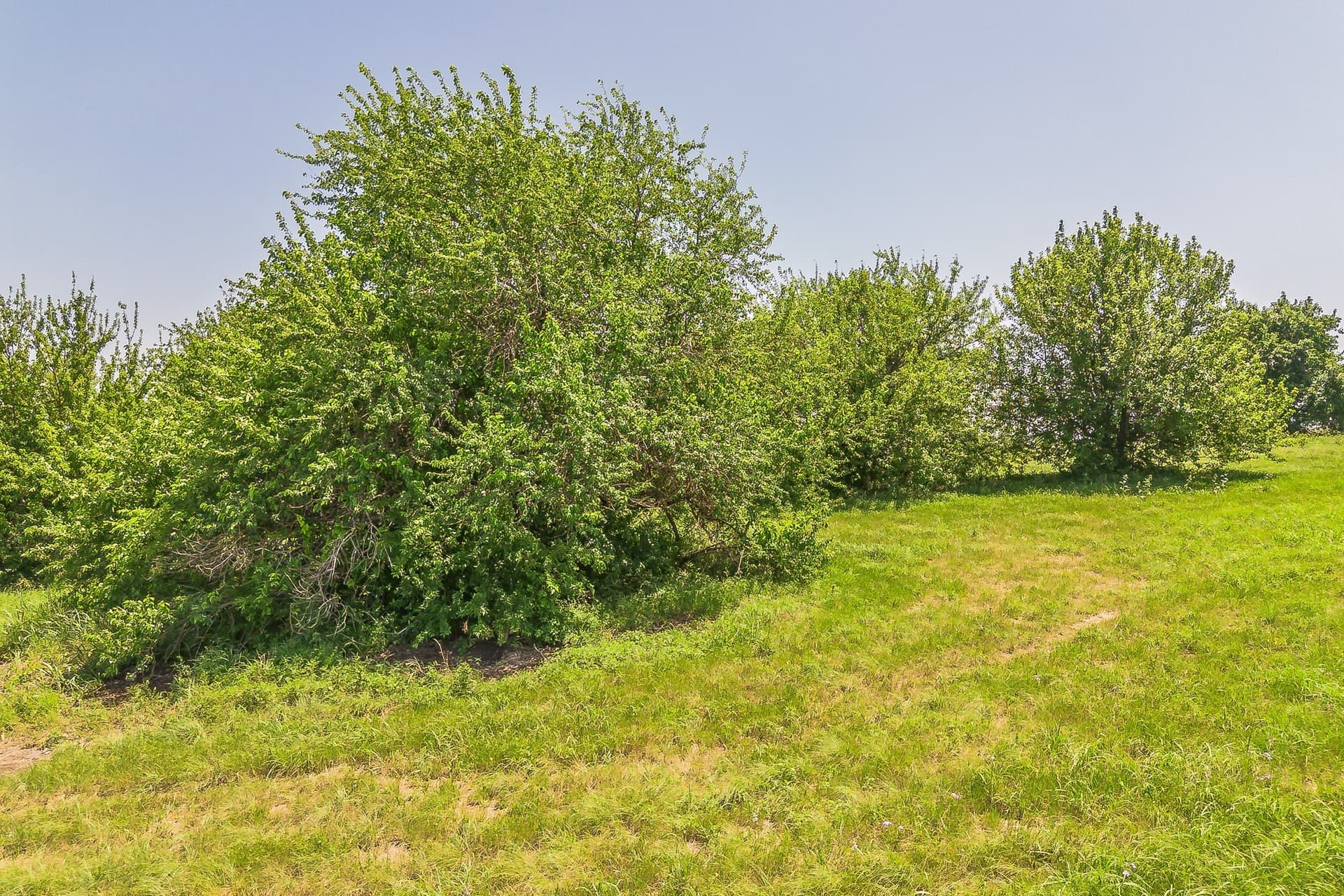 2 acres in Wise County - photo 18