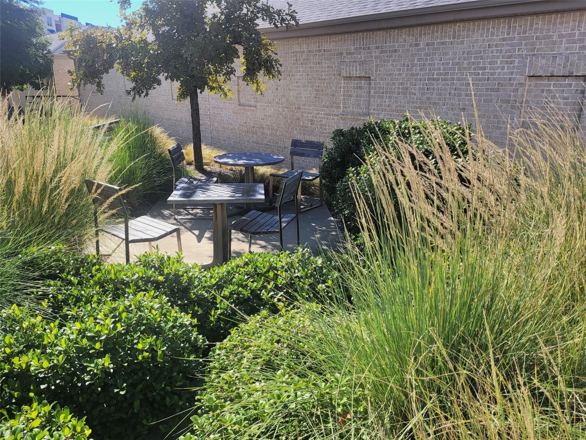 10.77 acres in Collin County - photo 36
