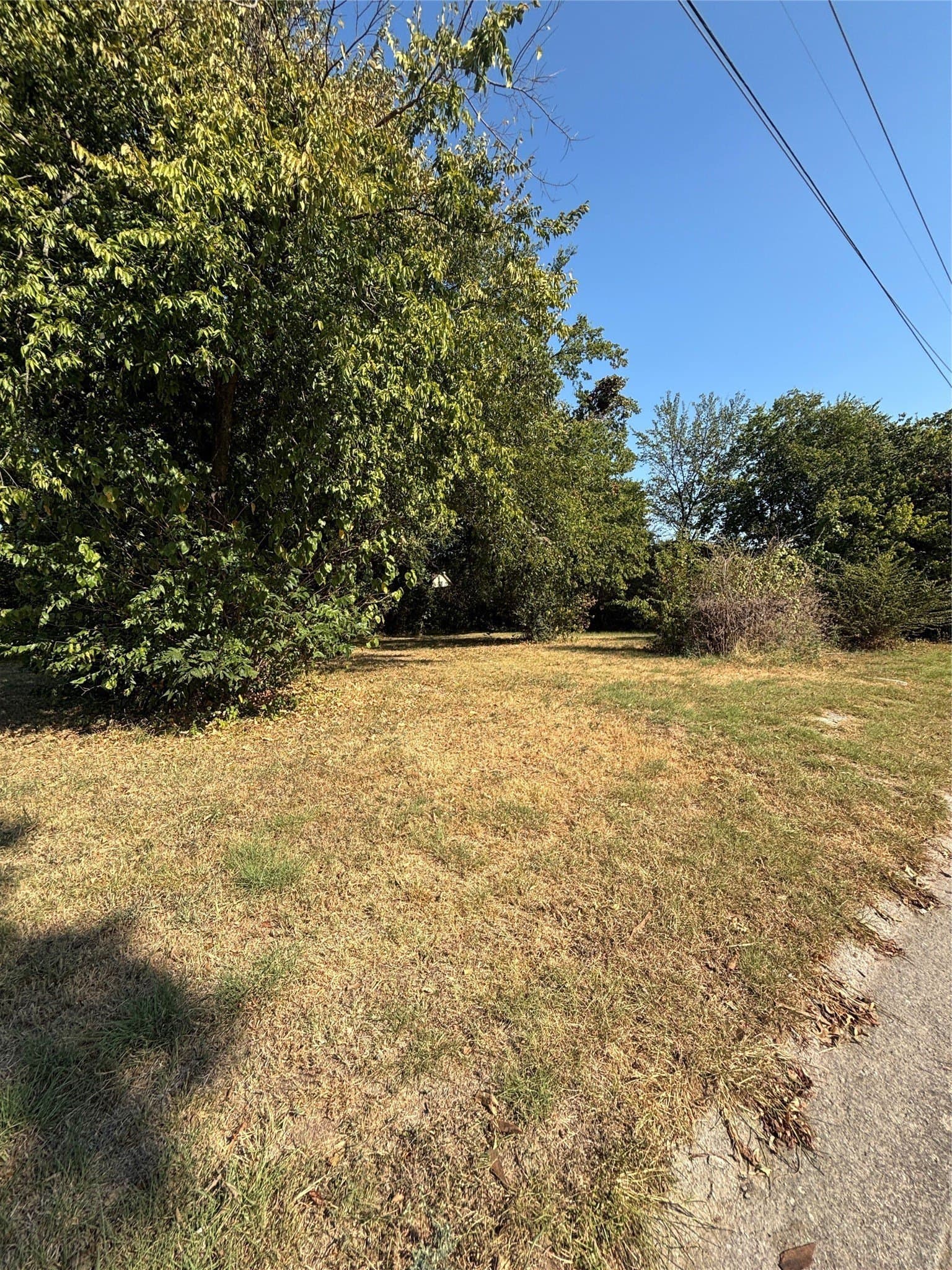 0.08 acres in Cooke County - photo 4