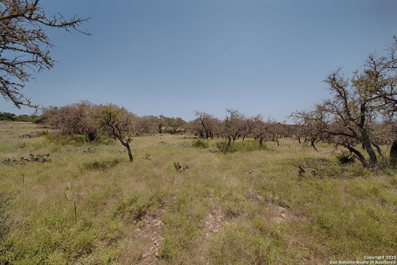 10.58 acres in Kimble County featured view