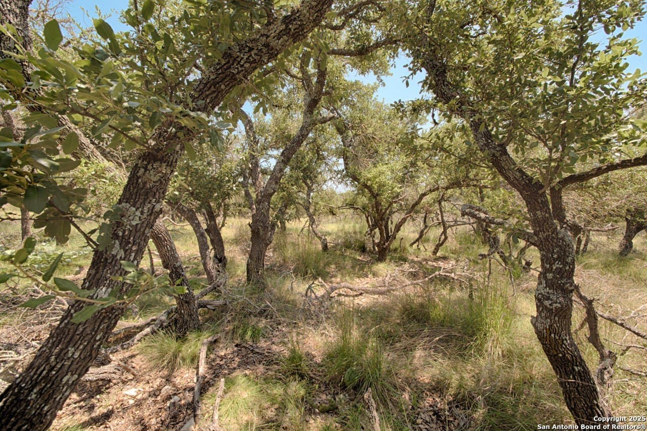 10.58 acres in Kimble County gallery image 3