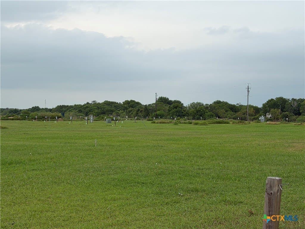 13.5 acres in Calhoun County gallery image 4