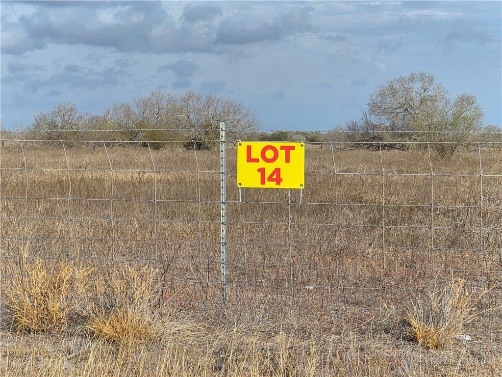 2.5 acres in Kleberg County gallery image 2