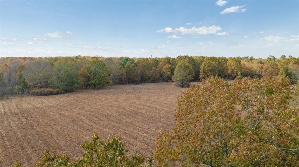 14.13 acres in Red River (TX) County gallery image 4