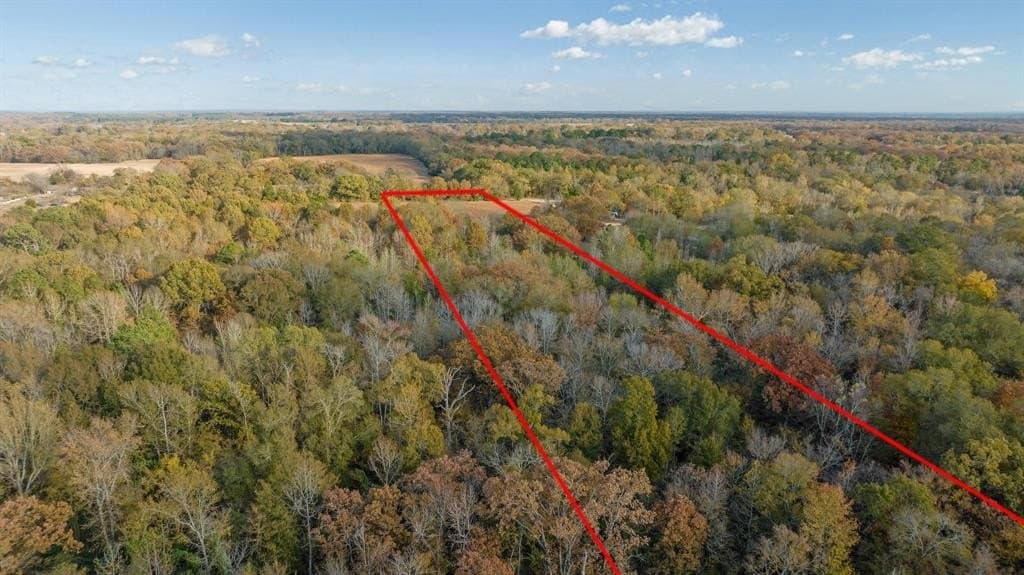 14.13 acres in Red River (TX) County gallery image 2