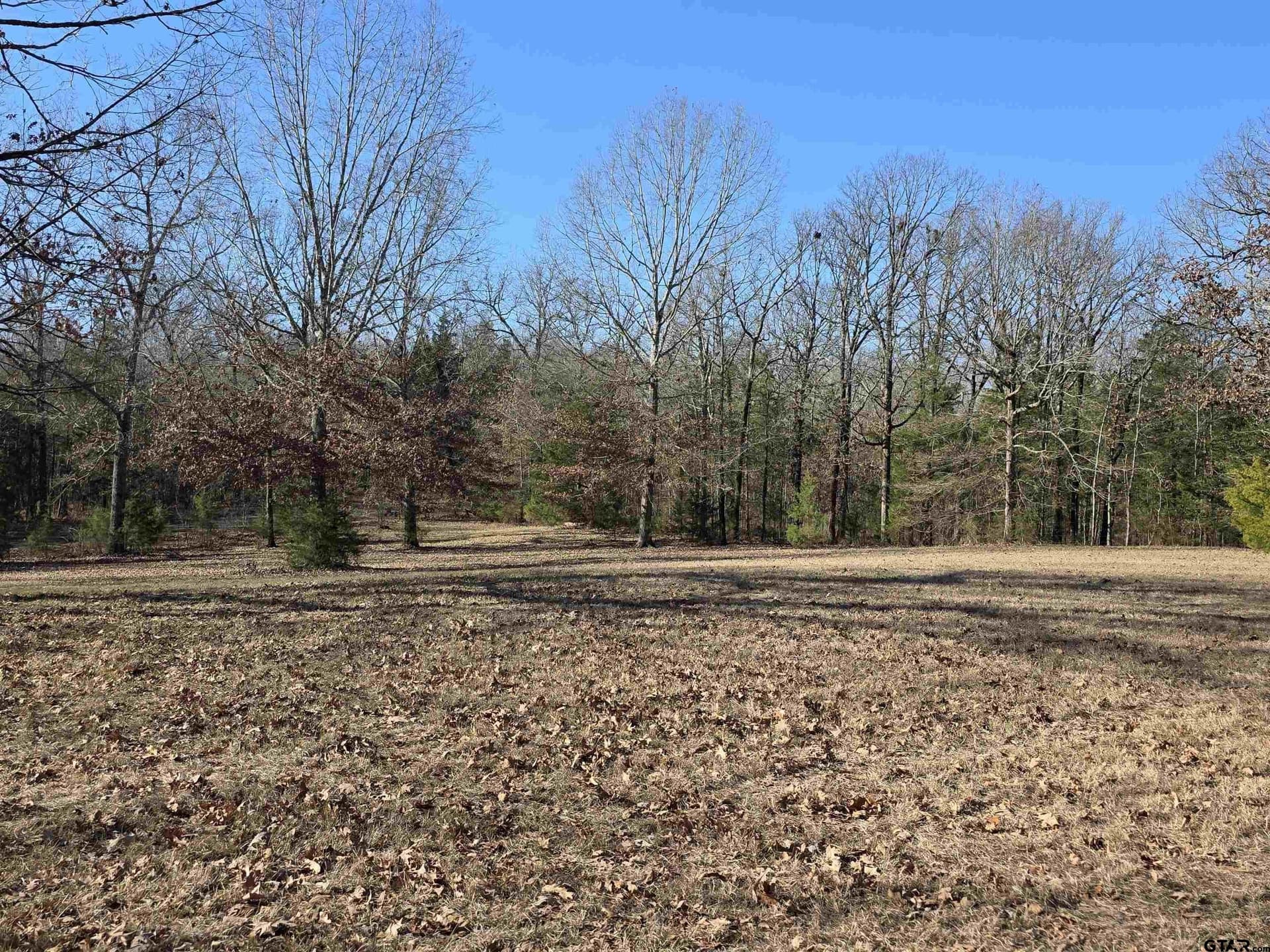15 acres in Morris County - photo 4