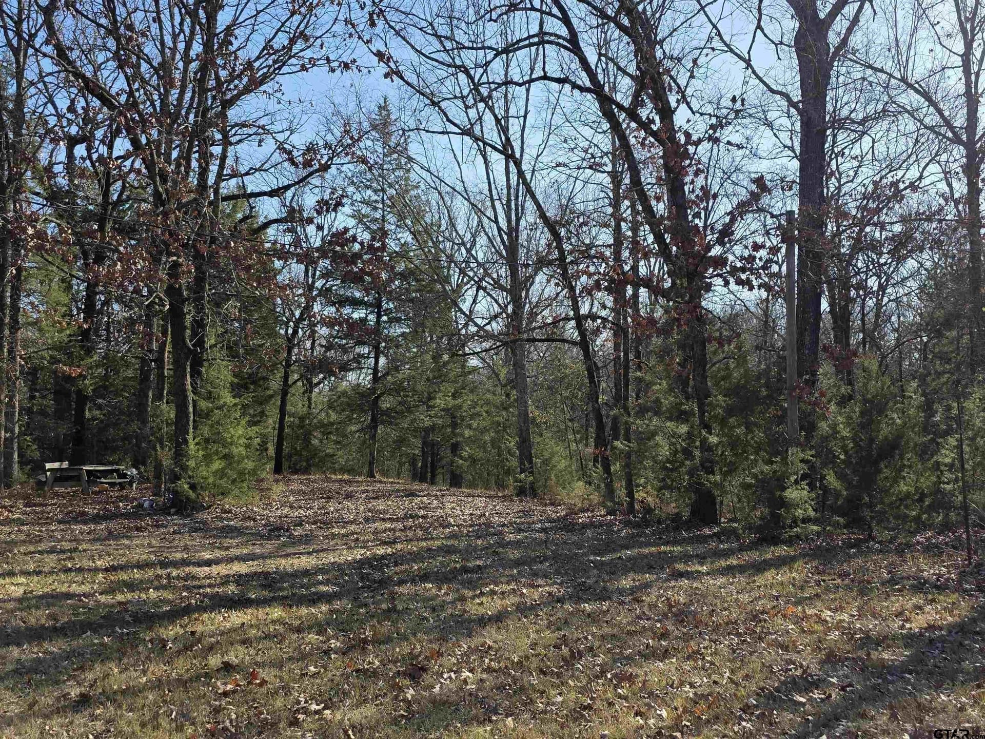15 acres in Morris County - photo 6