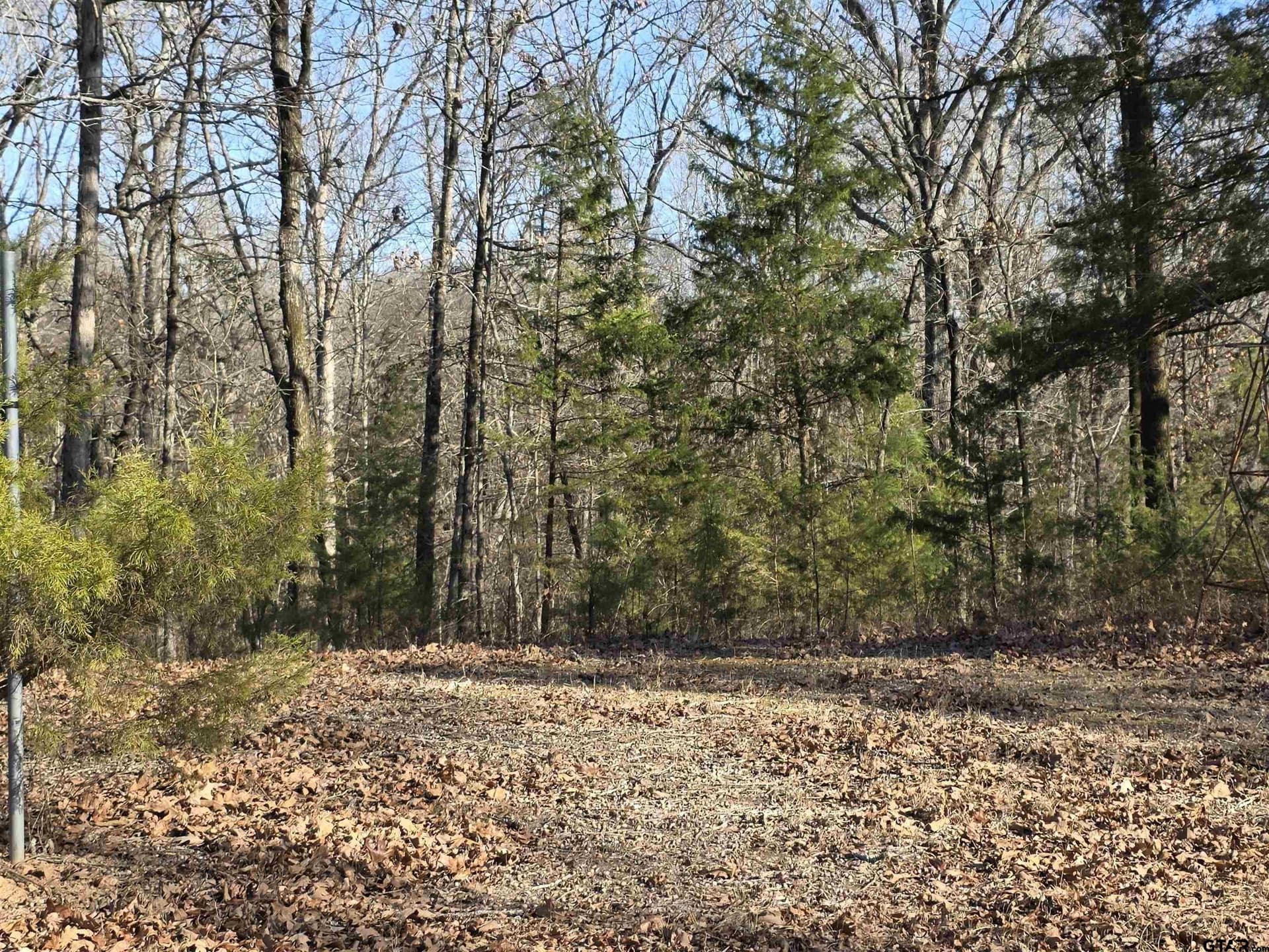 15 acres in Morris County - photo 5
